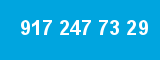 917 247 73 29 917 247 73 29